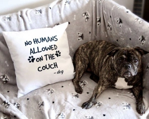 Perna personalizata No humans allowed on the couch - Img 4