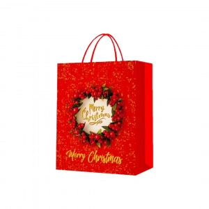 Punga Cadou Craciun 26x32x12cm