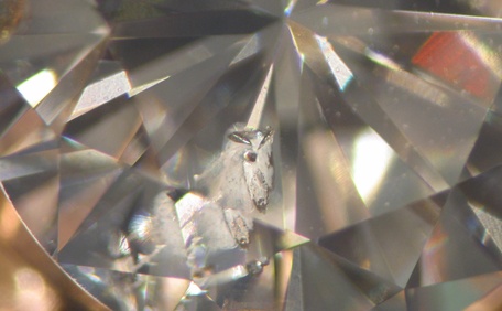 Exemple de incluziuni în diamante analizate la microscop
