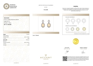 Certificat Gemologic Agl Cercei din argint cu opal și diamante naturale RC3196