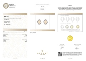 Certificat Gemologic Agl Cercei din argint cu opal și diamante naturale RC3210