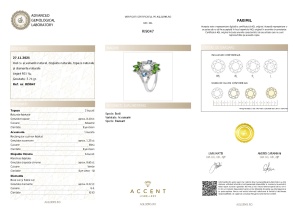 Certificat Gemologic Agl Inel din argint cu acvamarin natural, diopside chrome natural, topaz natural și diamante naturale RI9047