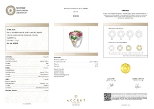 Certificat Gemologic Agl Inel din argint cu turmalină naturală, rubin natural, diopsid chrome natural, safire naturale și diamante naturale RI9052