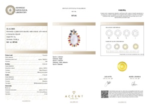 Certificat Gemologic Agl Pandantiv din argint cu piatra lunii naturală, rubin natural, safir natural și diamante naturale RP546
