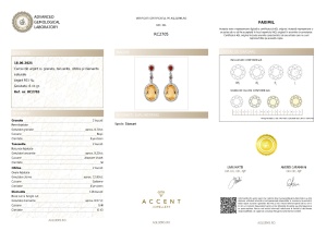 Certificat Gemologic Agl Cercei din argint cu granate, tanzanite, citrine și diamante naturale RC2705
