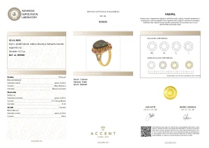 Certificat Gemologic Agl Inel din argint cu amolit natural, rubin natural și diamante naturale RI9905