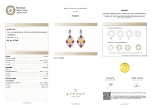 Certificat Gemologic Agl Cercei din argint cu granat natural, citrin natural și diamante naturale RC2687