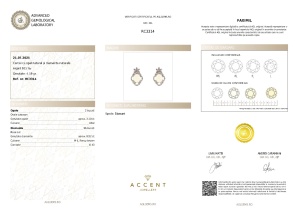 Certificat Gemologic Agl Cercei din argint cu opal natural și diamante naturale RC3314