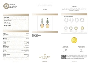 Certificat gemologic Agl Cercei din argint cu opal natural, tsavorit natural, safir natural și diamante naturale RC2685