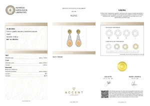 Certificat Gemologic Agl Cercei din argint cu pietre naturale și diamante naturale RC2711