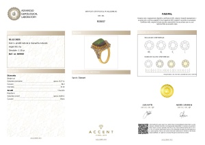 Certificat Gemologic Agl Inel din argint cu amolit natural și diamante naturale RI9907