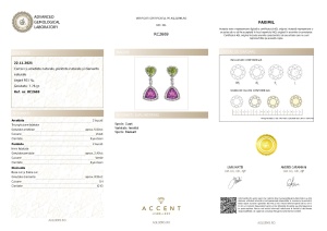 Certificat Gemologic Agl Cercei din argint cu ametist natural, peridot natural și diamante natural RC2669