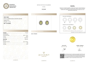 Certificat Gemologic Agl Cercei din argint cu peridot natural și diamante naturale RC3244