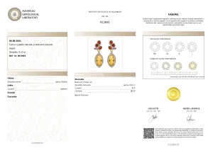 Certificat Gemologic Agl Cercei din argint cu pietre naturale și diamante naturale RC2691