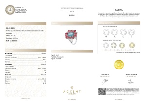 Certificat Gemologic Agl Inel din argint cu acvamarin natural, turmalină naturală și diamante naturale RI8832