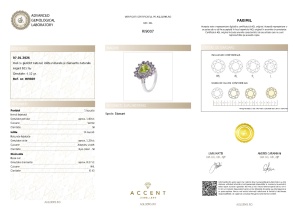 Certificat Gemologic Agl Inel din argint cu peridot natural, tanzanite naturale și diamante naturale RI9007