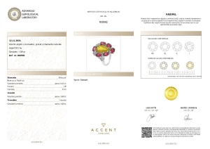 Certificat Gemologic Agl Inel din argint cu turmalină, granat și diamante naturale RI8992