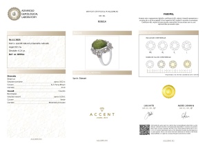 Certificat Gemologic Agl Inel din argint cu vessonite natural și diamante naturale RI9914