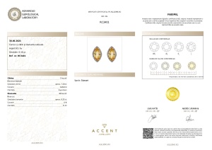 Certificat Gemologic Agl Cercei din argint cu citrin și diamante naturale RC3401