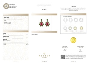 Certificat Gemologic Agl Cercei din argint cu granat, diopsid naturale și diamante naturale RC2604