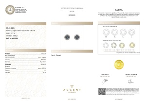 Certificat Gemologic Agl Cercei din argint cu topaz natural și diamante naturale RC3323