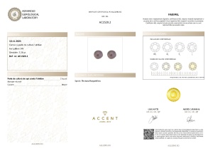 Certificat GemologicAgl Cercei din aur de 14k cu perle de cultură Tahitian AC1528.2