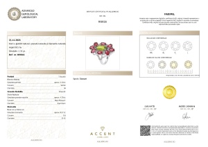 Certificat Gemologic Agl Inel din argint cu granat natural, peridot natural și diamante naturale RI9016