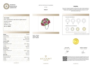 Certificat Gemologic Agl Inel din argint cu granat natural, rubin natural, diopsid natural și diamante naturale RI9017