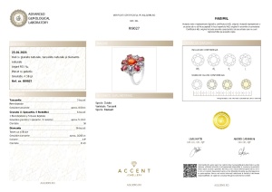 Certificat Gemologic Agl Inel din argint cu granat, rodolite, tanzanite și diamante naturale RI9027