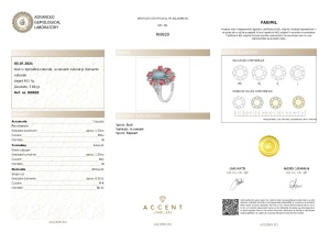 Certificat Gemologic Agl Inel din argint cu turmalină naturală, acvamarin natural și diamante naturale RI8820