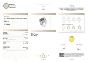 Certificat Gemologic Agl Inel din argint cu turmalină naturală, acvamarin natural și diamante naturale RI9054