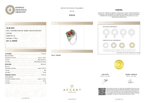 Certificat Gemologic Agl Inel din argint cu turmalină naturală, diopsid natural și diamante naturale RI9046