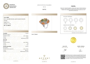 Certificat gemologic Agl Inel din argint cu turmalină naturală, granat natural și diamante naturale RI9751