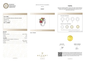 Certificat Gemologic Agl Inel din argint cu turmalină naturală și diamante naturale RI8967