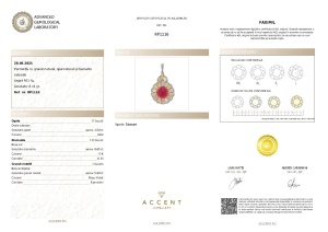 Certificat gemologic Agl Pandantiv din argint cu granat natural, opal natural și diamante naturale RP1116