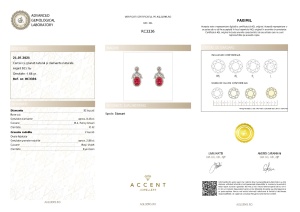 Certificat gemologic Agl Cercei din argint cu granat natural și diamante naturale RC3336