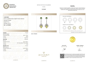 Certificat Gemologic Agl Cercei din argint cu peridot natural, diopsid chrome natural și diamante naturale RC2644