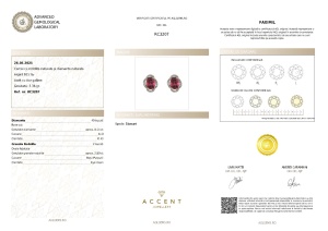 Certificat Gemologic Agl Cercei din argint cu rodolite și diamante naturale RC3207
