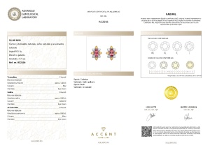 Certificat Gemologic Agl Cercei din argint cu turmaline, safire și acvamarine RC2556
