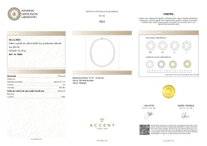 Certificat Gemologic Agl Colier din aur de 14k cu diamante naturale de 0.17 ct și perle de cultură South Sea AS622