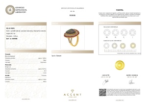 Certificat Gemologic Agl Inel din argint cu amolit natural, granat natural și diamante naturale RI9906