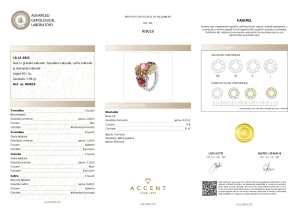 Certificat Gemologic Agl Inel din argint cu granate naturale, turmaline naturale, safire naturale și diamante naturale RI9019