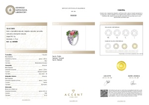 Certificat Gemologic Agl Inel din argint cu turmalină naturală, diopside naturale, tanzanite naturale și diamante naturale RI9009