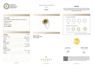 Certificat Gemologic Agl Inel din argint cu turmalină naturală, safir natural și diamante naturale RI9033