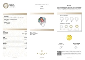 Certificat Gemologic Agl Inel din argint cu zircon natural, turmalină naturală, safir natural, diopsid natural și diamante naturale RI8905