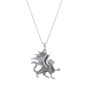 Lanț și pandantiv din argint Dragon