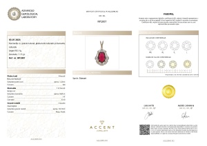 Certificat Gemologic Agl Pandantiv din argint cu granat natural, piatra lunii naturală și diamante naturale RP1007