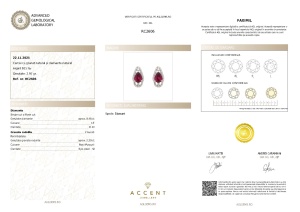 Certificat Gemologic Agl Cercei din argint cu granat natural și diamante natural RC2606