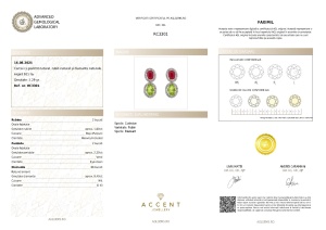 Crtificat gemologic Agl Cercei din argint cu peridot natural, rubin natural și diamante naturale RC3301