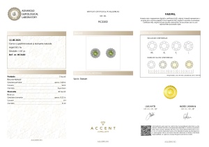 Certificat Gemologic Agl Cercei din argint cu peridot natural și diamante naturale RC3183
